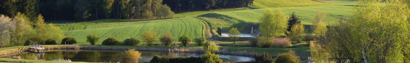Teichanlage in Ruders